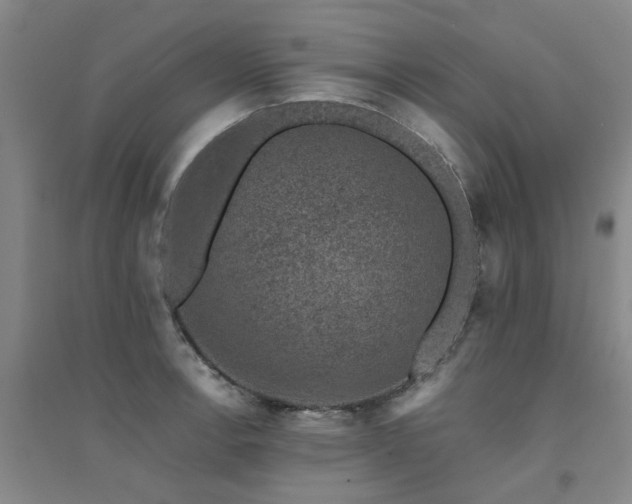 X0000094441138200711081242