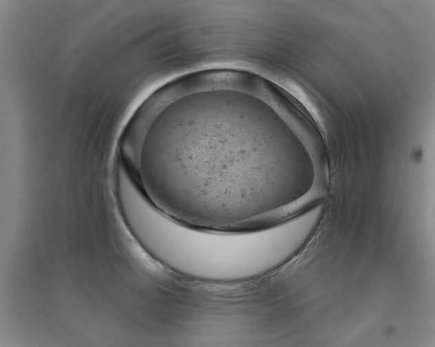 X0000094441140200711081242