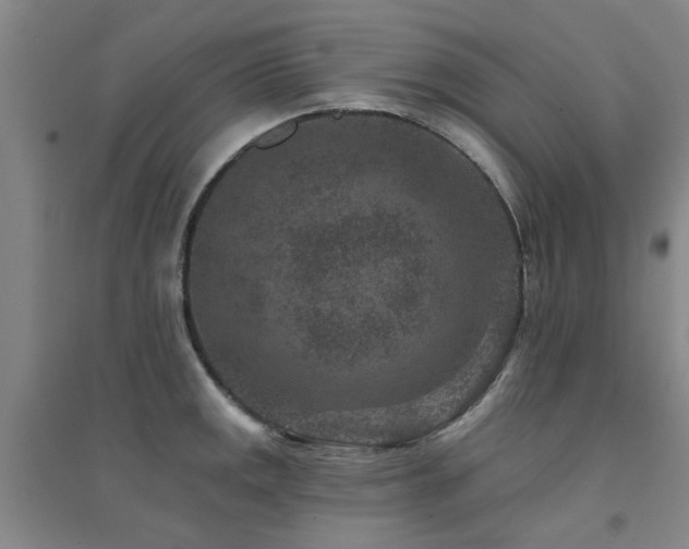 X0000094441141200711081242