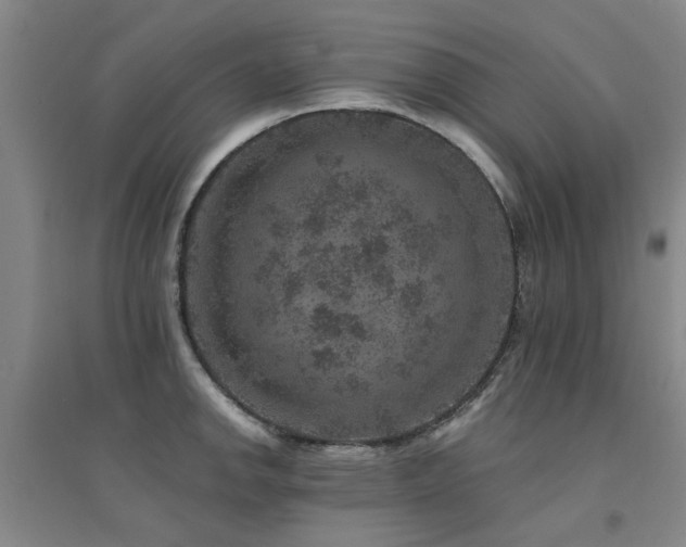 X0000094441142200711081242