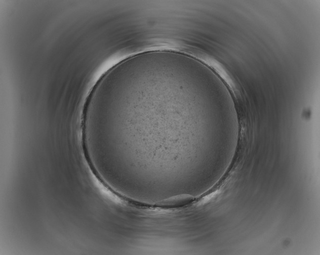 X0000094441143200711081242