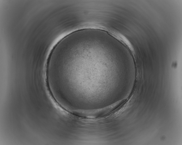 X0000094441144200711081242