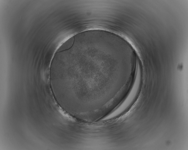 X0000094441145200711081242