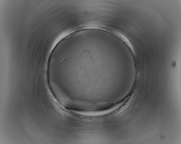 X0000094441146200711081242