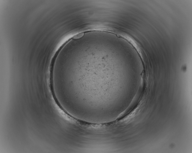 X0000094441147200711081242