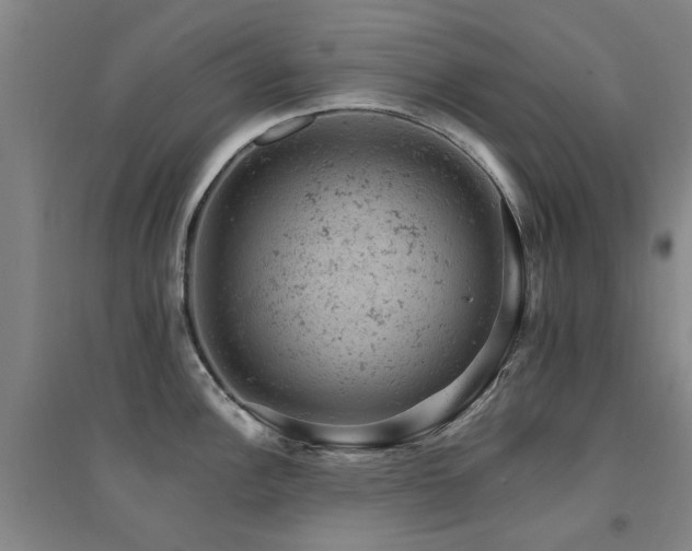 X0000094441148200711081242