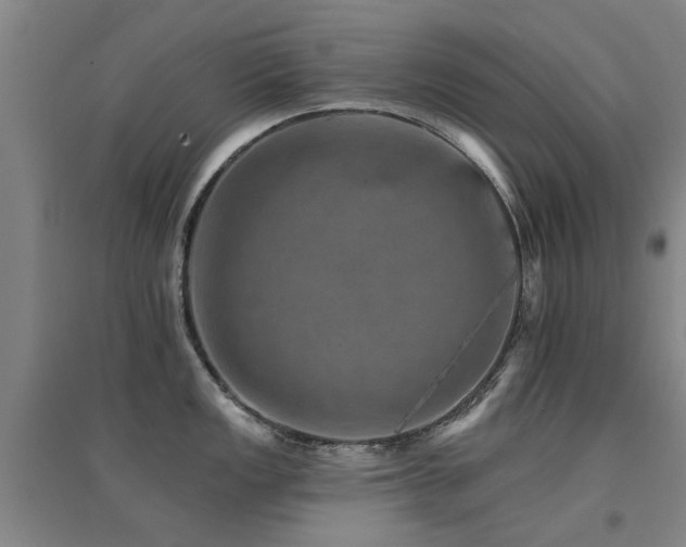 X0000094441149200711081242
