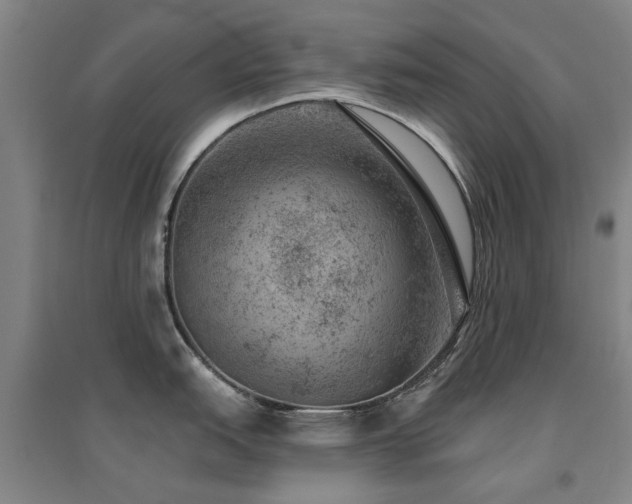 X0000094441151200711081243