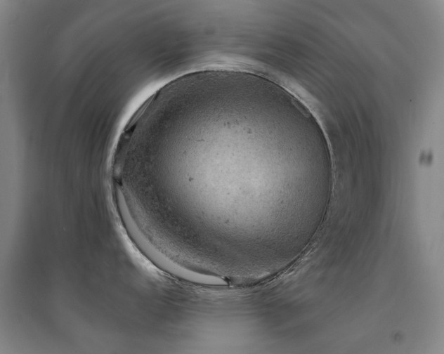 X0000094441152200711081243