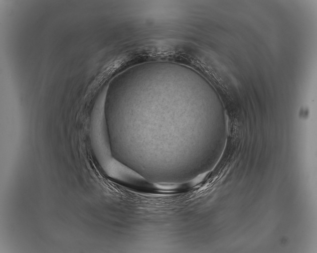 X0000094441153200711081242