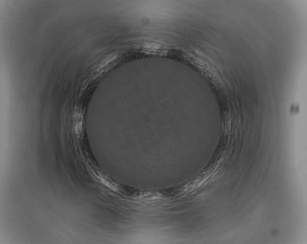 X0000094441154200711081242
