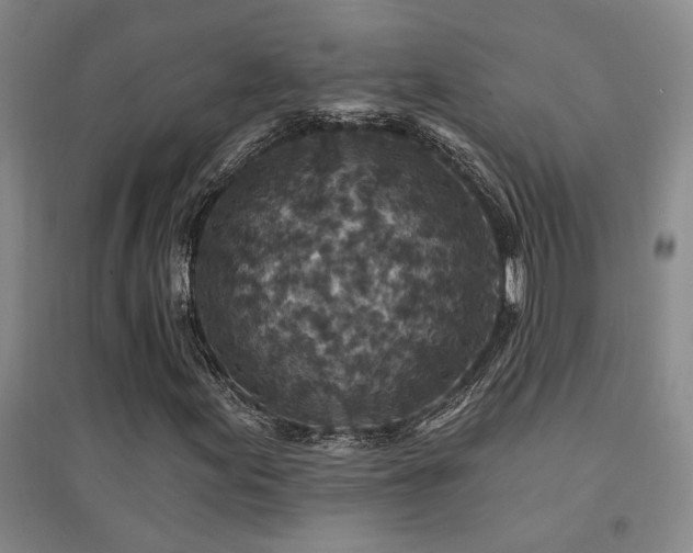 X0000094441155200711081242