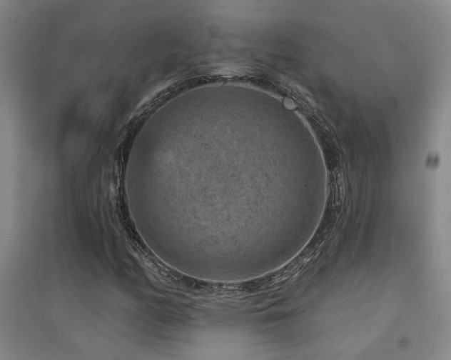 X0000094441158200711081242