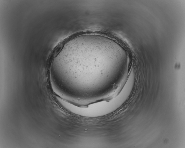X0000094441160200711081242