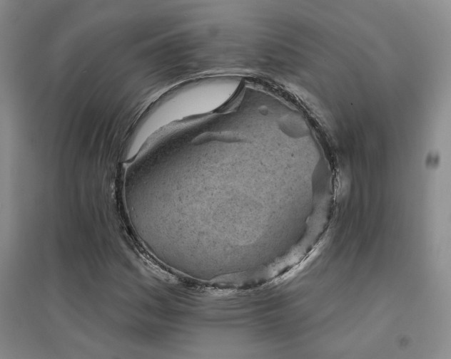X0000094441161200711081242