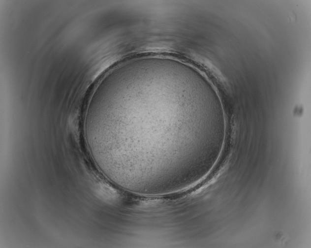 X0000094441162200711081242