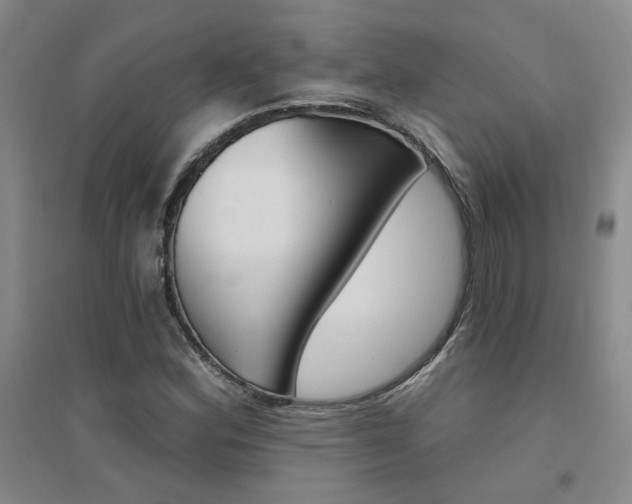 X0000094441164200711081242
