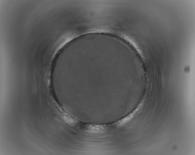 X0000094441165200711081242