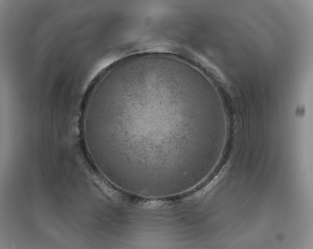 X0000094441166200711081242