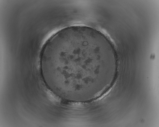 X0000094441167200711081242