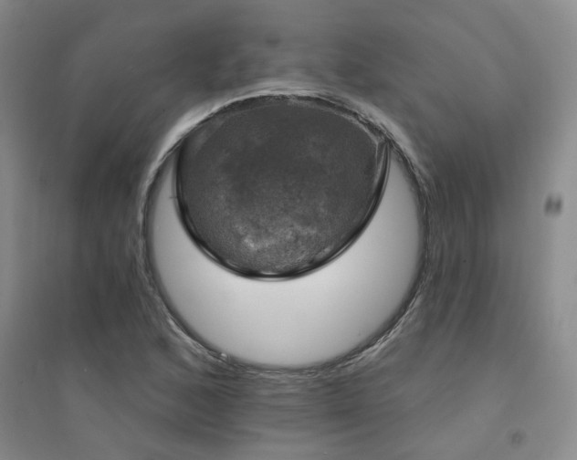 X0000094441168200711081242
