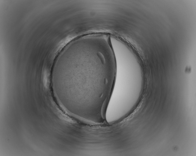 X0000094441169200711081242