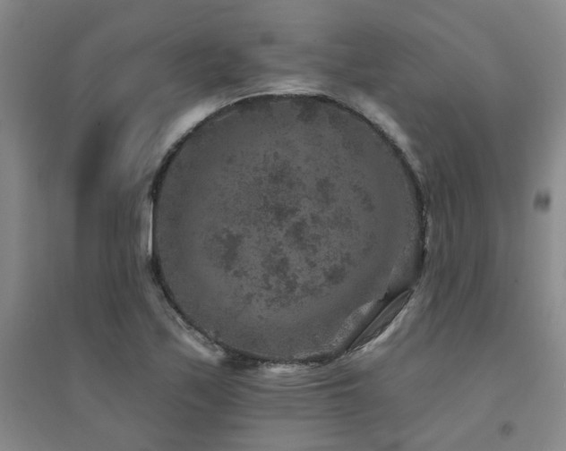 X0000094441171200711081242