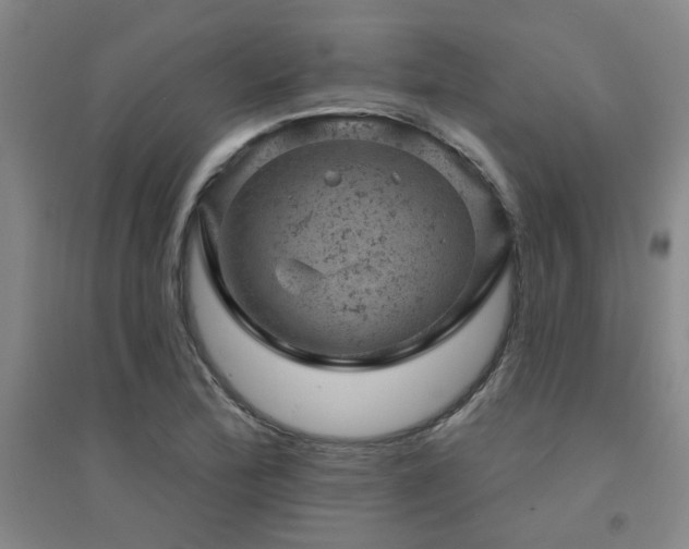 X0000094441172200711081242