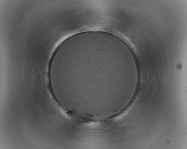 X0000094441174200711081242