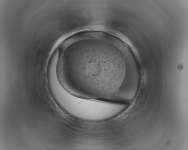 X0000094441176200711081242