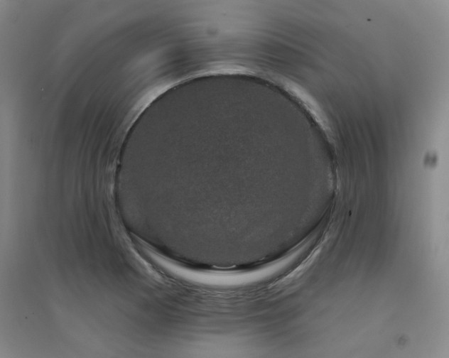 X0000094441177200711081242