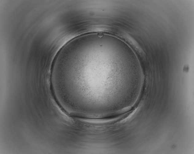 X0000094441178200711081242