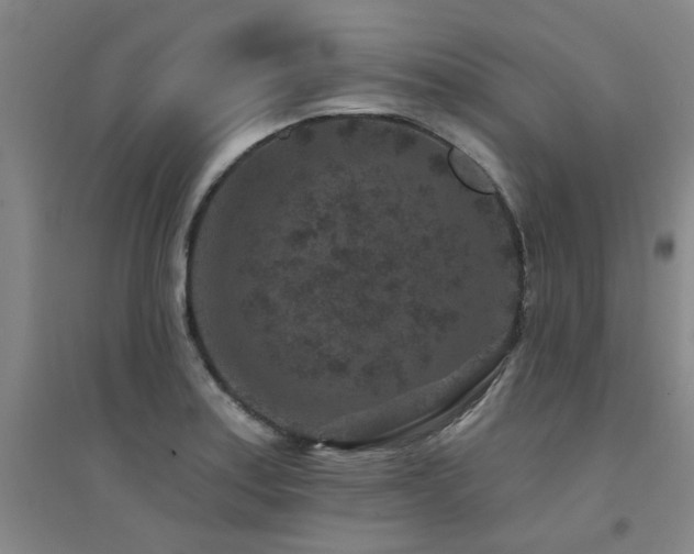X0000094441179200711081242