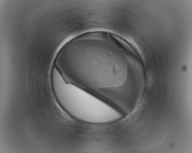 X0000094441181200711081241