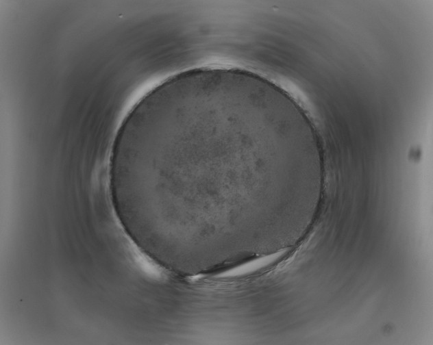 X0000094441183200711081241
