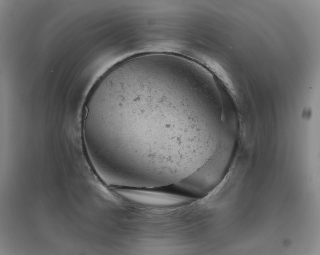 X0000094441184200711081241