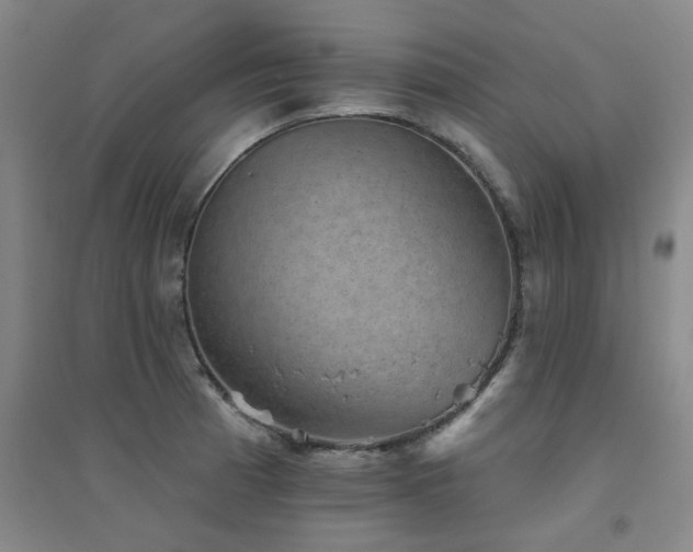 X0000094441185200711081241