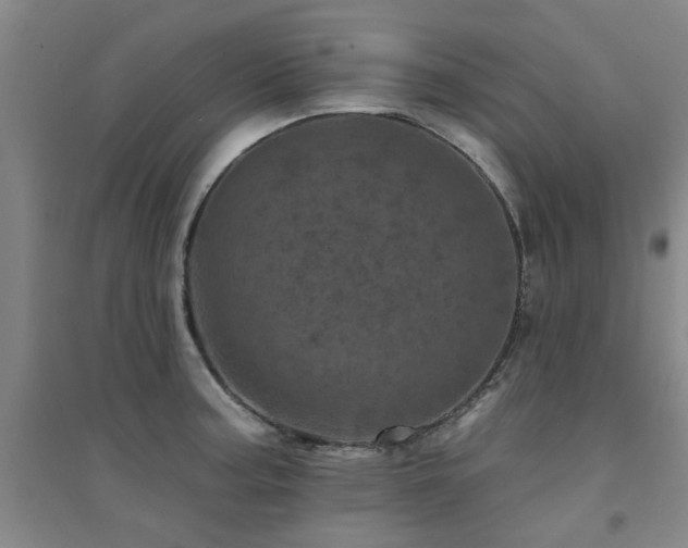 X0000094441187200711081241