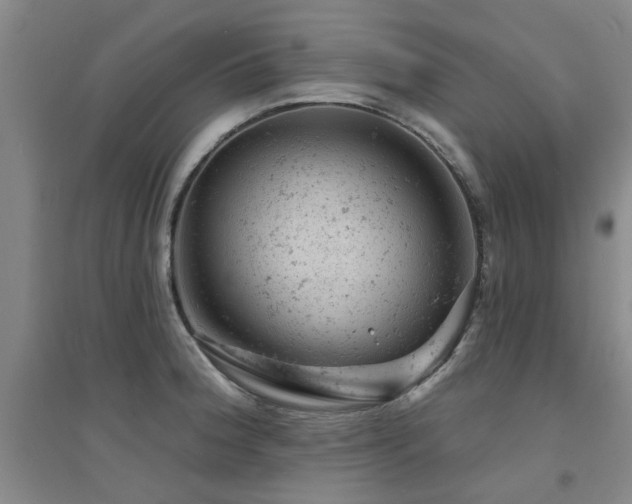 X0000094441188200711081241