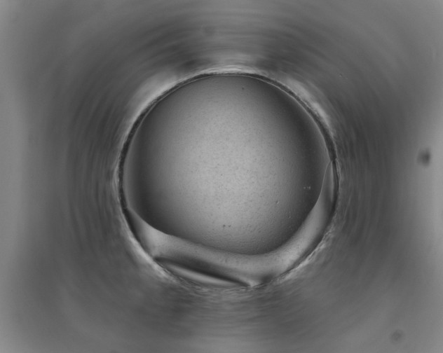 X0000094441189200711081241
