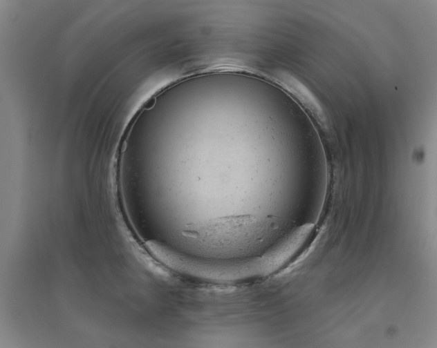 X0000094441190200711081241