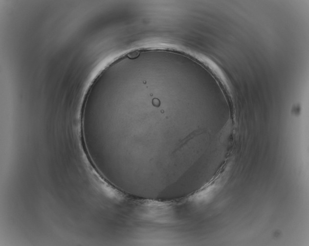 X0000094441191200711081241