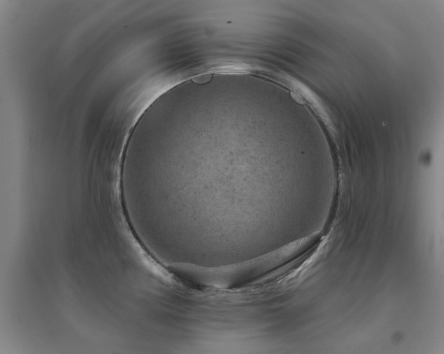 X0000094441194200711081241