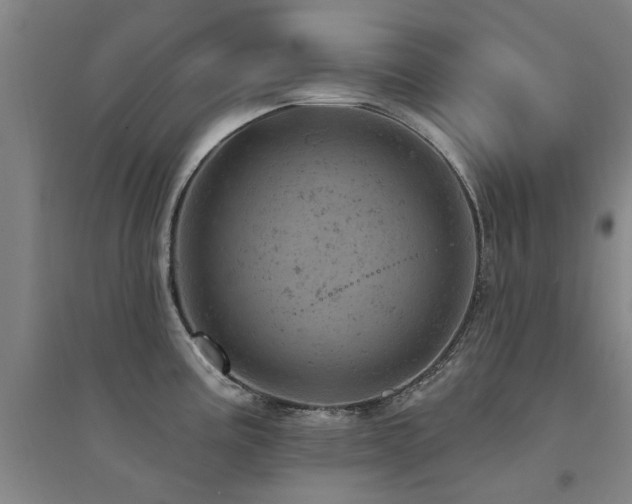 X0000094441195200711081241