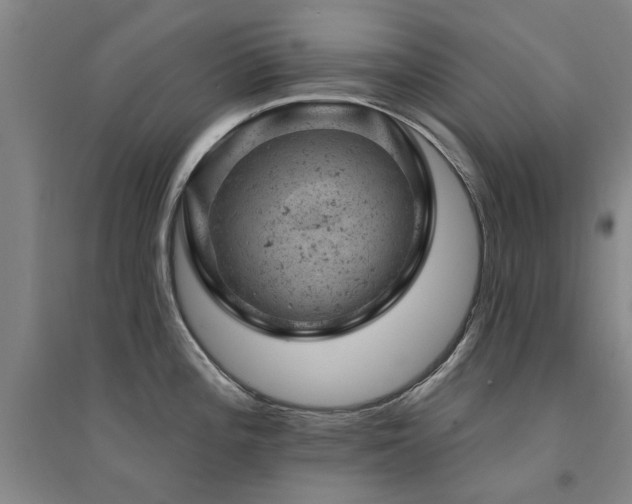 X0000094441196200711081241