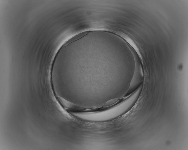 X0000094441197200711081241