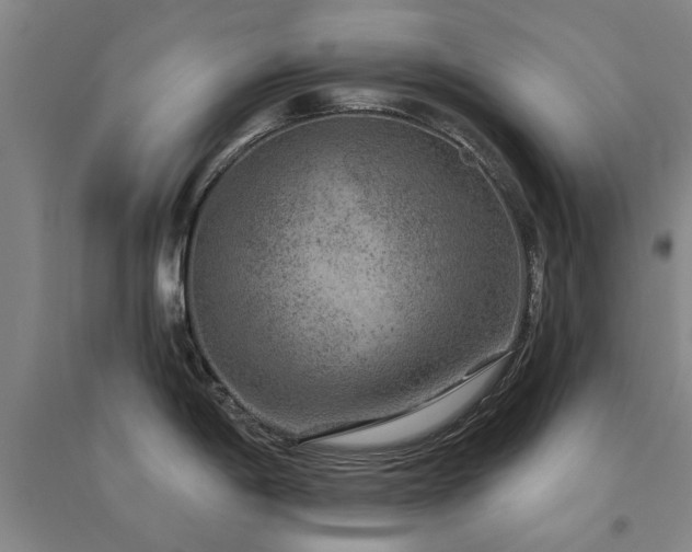 X0000094441198200711081241
