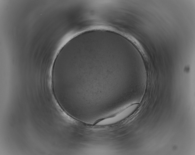X0000094441199200711081241