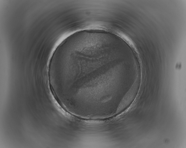 X0000094441200200711081241