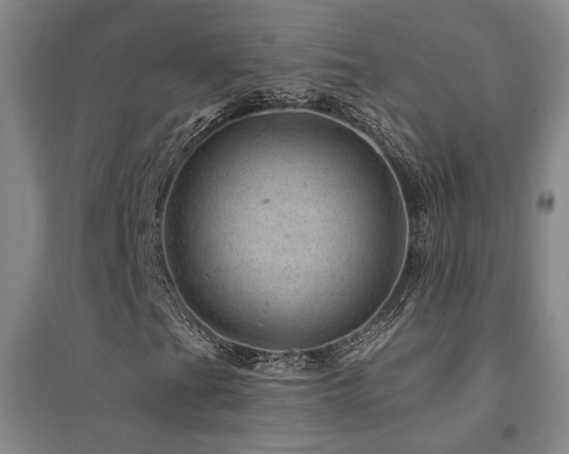 X0000094441201200711081241